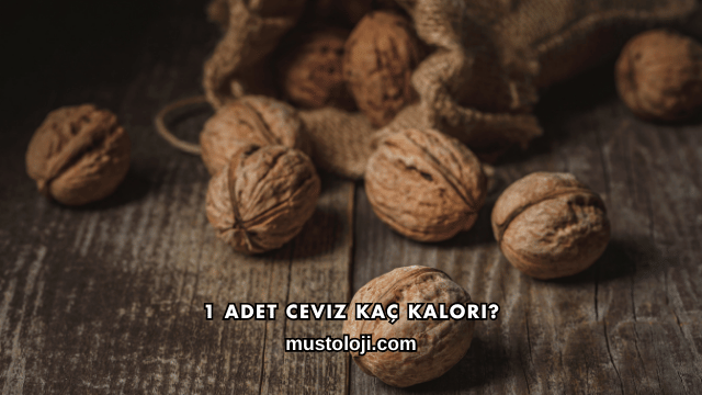 1 Adet Ceviz Kaç Kalori?