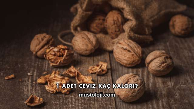 1 Adet Ceviz Kaç Kalori?