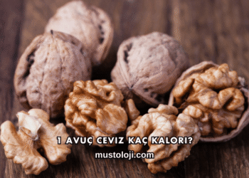 1 Avuç Ceviz Kaç Kalori?