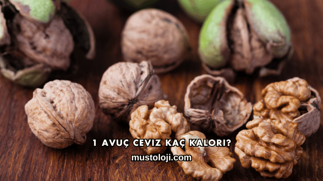 1 Avuç Ceviz Kaç Kalori?