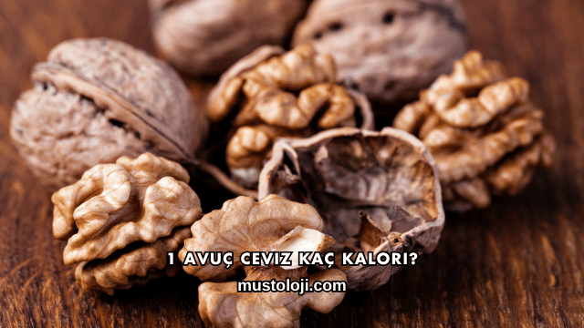 1 Avuç Ceviz Kaç Kalori?