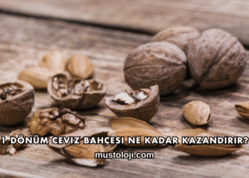1 Dönüm Ceviz Bahçesi Ne Kadar Kazandırır?