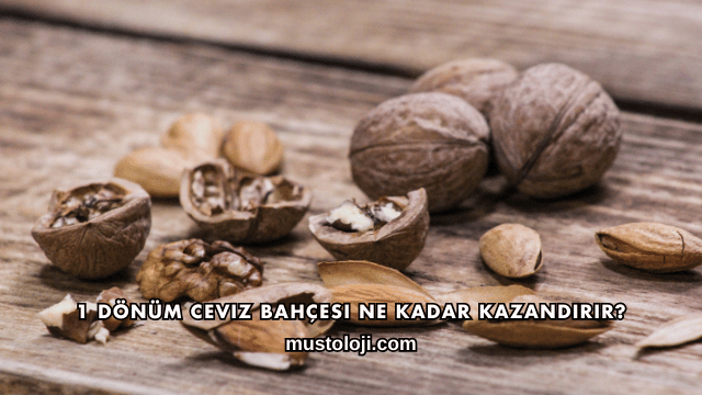 1 Dönüm Ceviz Bahçesi Ne Kadar Kazandırır?