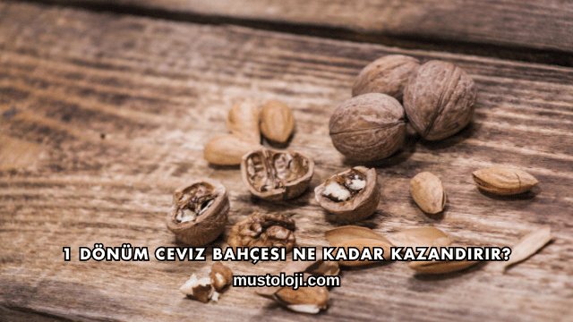 1 Dönüm Ceviz Bahçesi Ne Kadar Kazandırır?