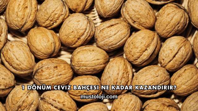 1 Dönüm Ceviz Bahçesi Ne Kadar Kazandırır?