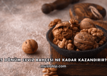 5 Dönüm Ceviz Bahçesi Ne Kadar Kazandırır?