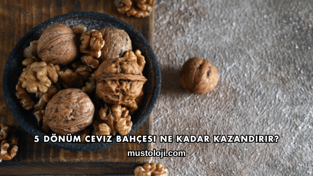 5 Dönüm Ceviz Bahçesi Ne Kadar Kazandırır?