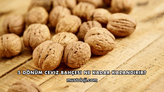 5 Dönüm Ceviz Bahçesi Ne Kadar Kazandırır?