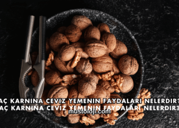 Aç Karnına Ceviz Yemenin Faydaları Nelerdir?