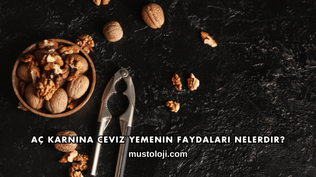 Aç Karnına Ceviz Yemenin Faydaları Nelerdir?