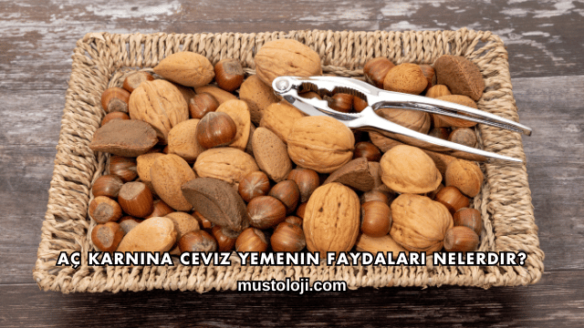 Aç Karnına Ceviz Yemenin Faydaları Nelerdir?