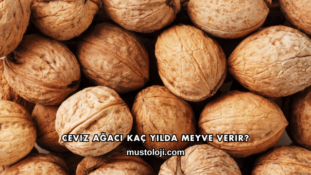 Ceviz Ağacı Kaç Yılda Meyve Verir?