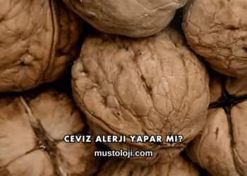 Ceviz Alerji Yapar mı?