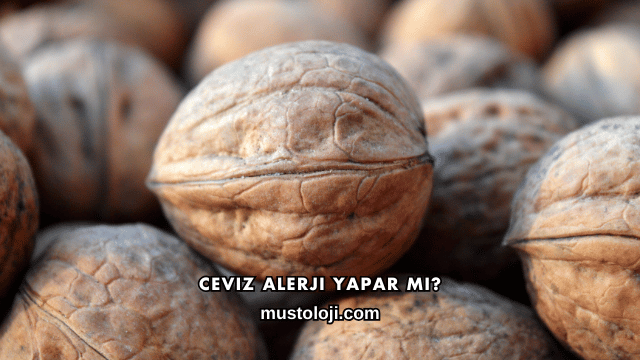Ceviz Alerji Yapar mı?