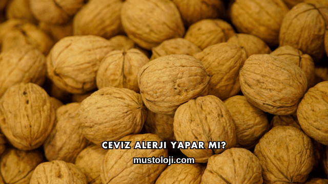 Ceviz Alerji Yapar mı?