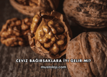 Ceviz Bağırsaklara İyi Gelir mi?