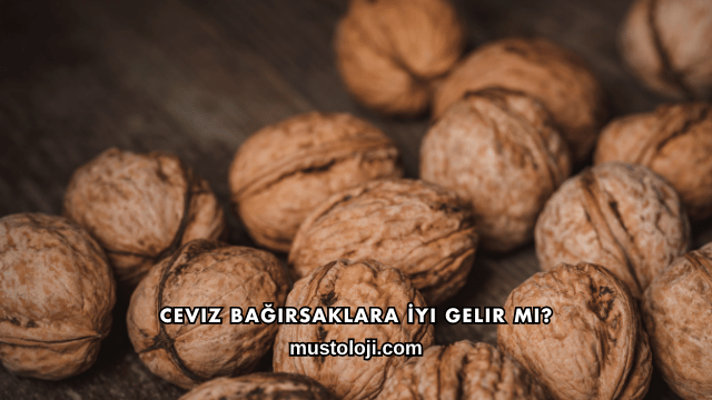 Ceviz Bağırsaklara İyi Gelir mi?