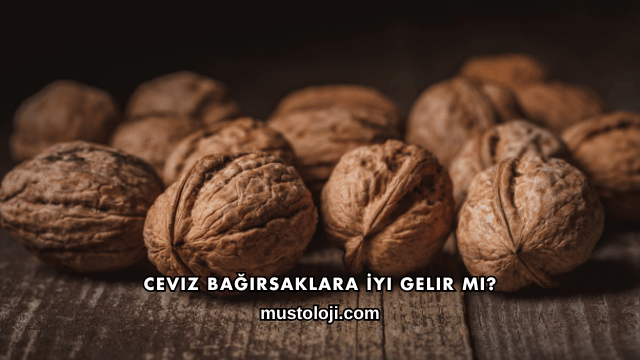 Ceviz Bağırsaklara İyi Gelir mi?