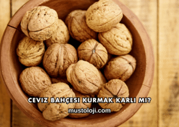 Ceviz Bahçesi Kurmak Karlı mı?