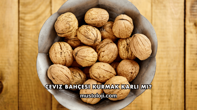 Ceviz Bahçesi Kurmak Karlı mı?