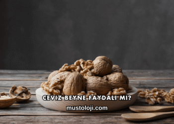Ceviz Beyne Faydalı mı?