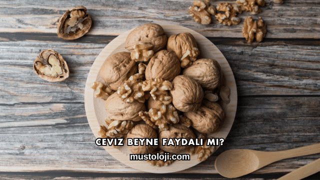 Ceviz Beyne Faydalı mı?