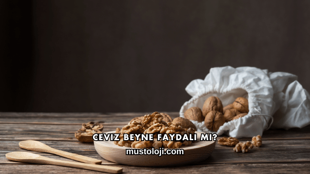 Ceviz Beyne Faydalı mı?