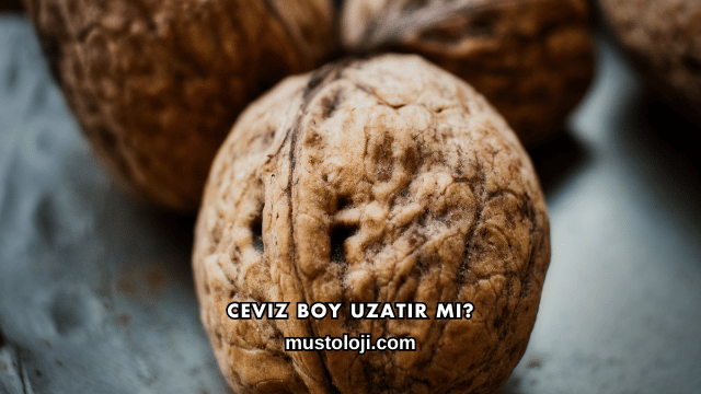 Ceviz Boy Uzatır mı?