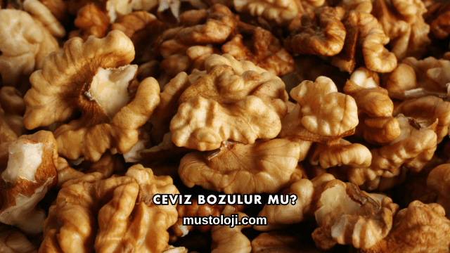 Ceviz Bozulur mu?