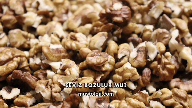 Ceviz Bozulur mu?