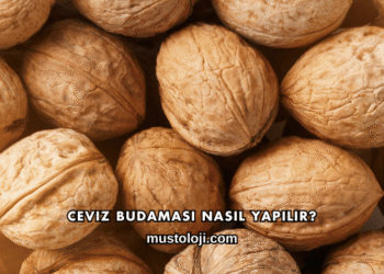 Ceviz Budaması Nasıl Yapılır?