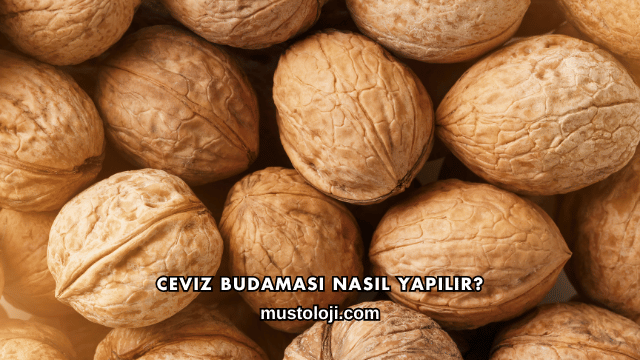 Ceviz Budaması Nasıl Yapılır?