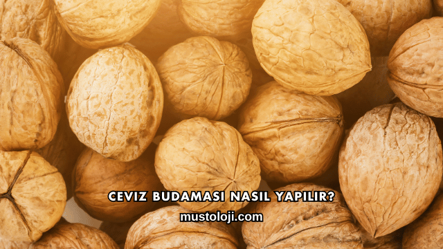 Ceviz Budaması Nasıl Yapılır?