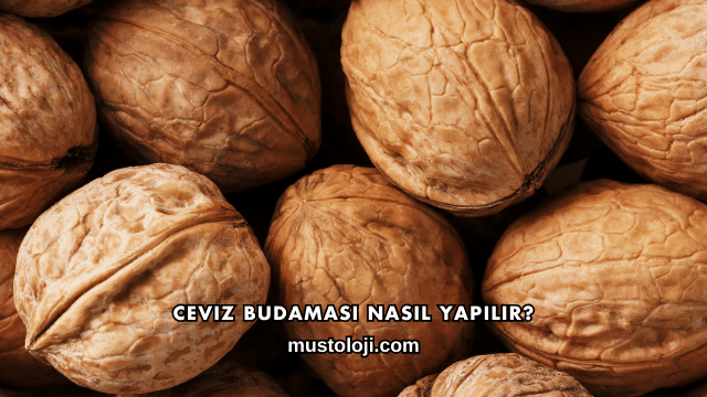 Ceviz Budaması Nasıl Yapılır?