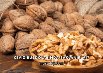 Ceviz Buzdolabında Saklanır mı?