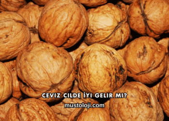 Ceviz Cilde İyi Gelir mi?