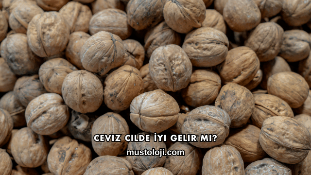 Ceviz Cilde İyi Gelir mi?