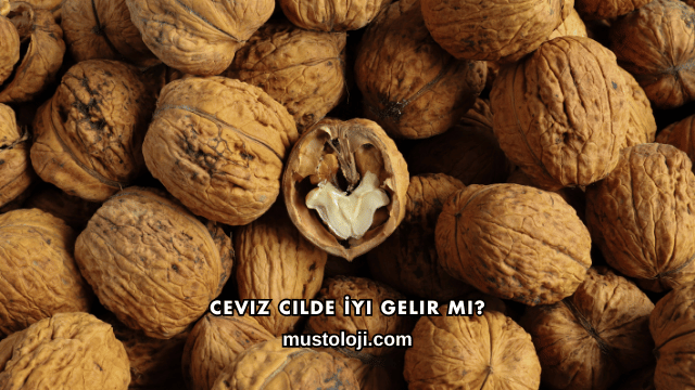Ceviz Cilde İyi Gelir mi?