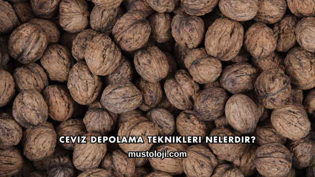 Ceviz Depolama Teknikleri Nelerdir?