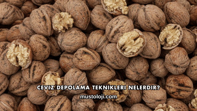 Ceviz Depolama Teknikleri Nelerdir?