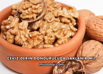 Ceviz Derin Dondurucuda Saklanır mı?