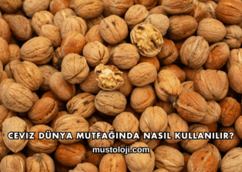 Ceviz Dünya Mutfağında Nasıl Kullanılır?