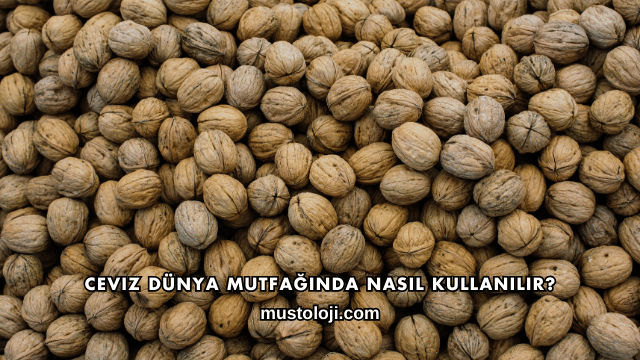 Ceviz Dünya Mutfağında Nasıl Kullanılır?