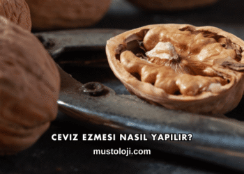 Ceviz Ezmesi Nasıl Yapılır?