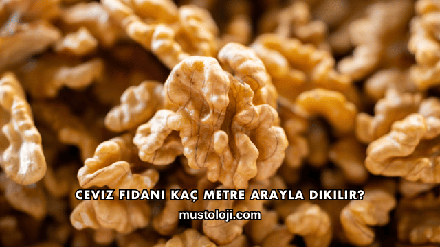 Ceviz Fidanı Kaç Metre Arayla Dikilir?