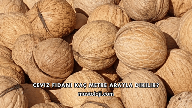Ceviz Fidanı Kaç Metre Arayla Dikilir?