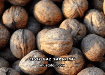 Ceviz Gaz Yapar mı?