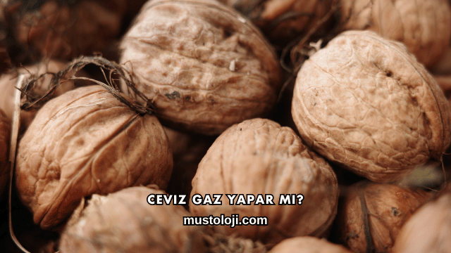 Ceviz Gaz Yapar mı?