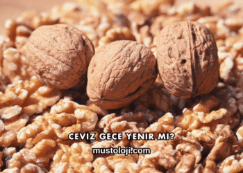 Ceviz Gece Yenir mi?