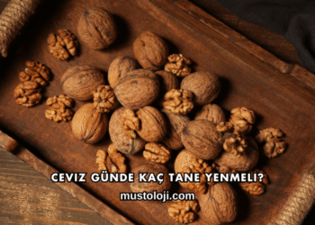 Ceviz Günde Kaç Tane Yenmeli?